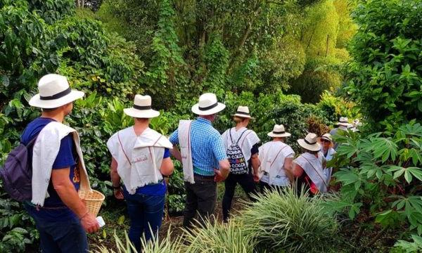 Circuito por el Eje Cafetero de Colombia