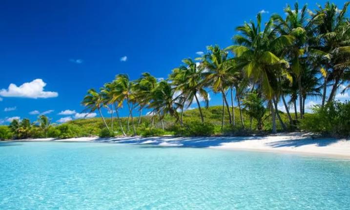 Isla Martinica All Inclusive
